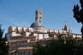 0373Duomo di Siena